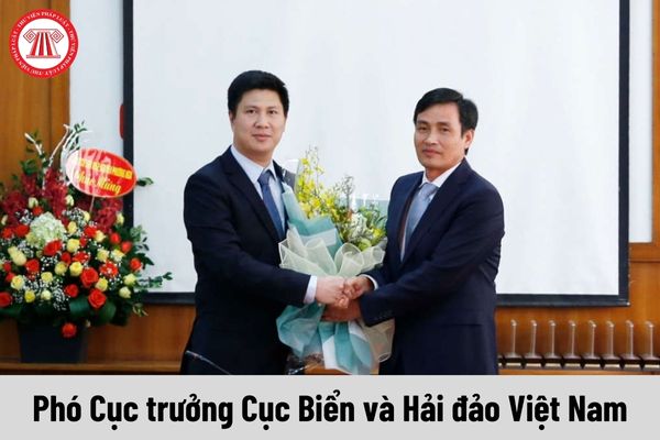 Phó Cục trưởng Cục Biển và Hải đảo Việt Nam được nhận mức phụ cấp chức vụ lãnh đạo là bao nhiêu?