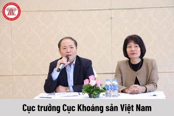 Cục trưởng Cục Khoáng sản Việt Nam được nhận mức phụ cấp chức vụ lãnh đạo là bao nhiêu?