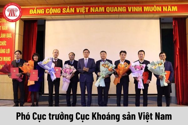 Mức phụ cấp chức vụ lãnh đạo của Phó Cục trưởng Cục Khoáng sản Việt Nam được nhận là bao nhiêu?