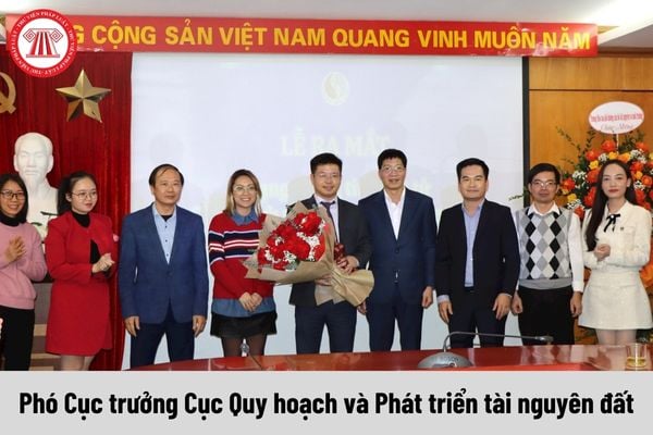 Phó Cục trưởng Cục Quy hoạch và Phát triển tài nguyên đất được nhận mức phụ cấp chức vụ lãnh đạo là bao nhiêu?