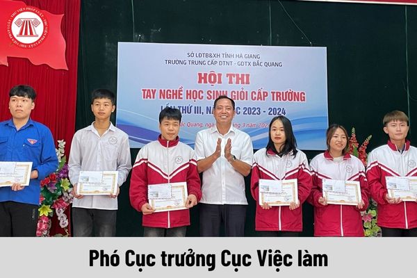 Phó Cục trưởng Cục Việc làm được nhận mức phụ cấp chức vụ lãnh đạo là bao nhiêu?