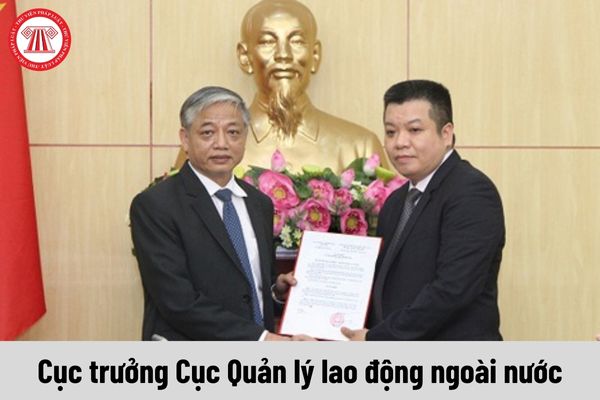 Cục trưởng Cục Quản lý lao động ngoài nước được nhận mức phụ cấp chức vụ lãnh đạo là bao nhiêu?