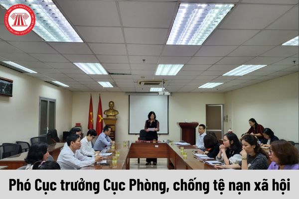 Phó Cục trưởng Cục Phòng, chống tệ nạn xã hội được nhận mức phụ cấp chức vụ lãnh đạo là bao nhiêu?