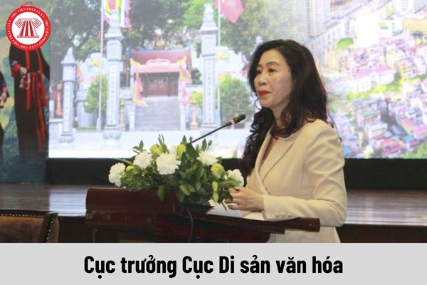 Cục trưởng Cục Di sản văn hóa được nhận mức phụ cấp chức vụ lãnh đạo là bao nhiêu?