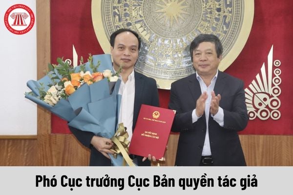 Phó Cục trưởng Cục Bản quyền tác giả được nhận mức phụ cấp chức vụ lãnh đạo là bao nhiêu?