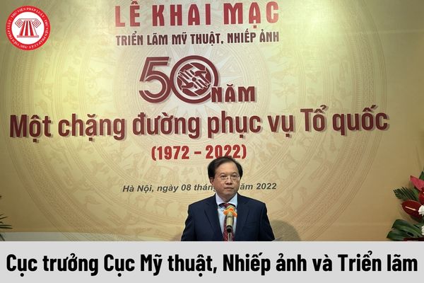 Cục trưởng Cục Mỹ thuật, Nhiếp ảnh và Triển lãm được nhận mức phụ cấp chức vụ lãnh đạo là bao nhiêu?