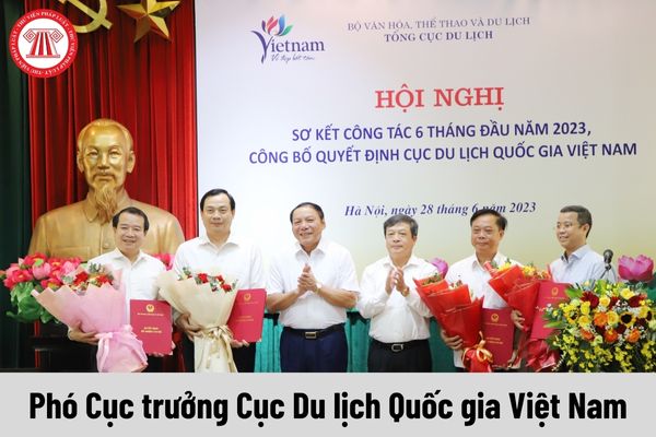 Mức phụ cấp chức vụ lãnh đạo của Phó Cục trưởng Cục Du lịch Quốc gia Việt Nam được nhận là bao nhiêu?