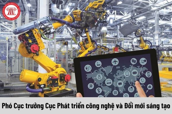 Phó Cục trưởng Cục Phát triển công nghệ và Đổi mới sáng tạo được nhận mức phụ cấp chức vụ lãnh đạo là bao nhiêu?