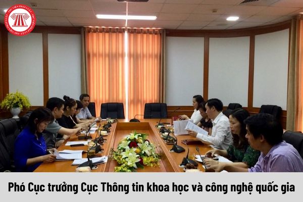 Mức phụ cấp chức vụ lãnh đạo của Phó Cục trưởng Cục Thông tin khoa học và công nghệ quốc gia được nhận là bao nhiêu?