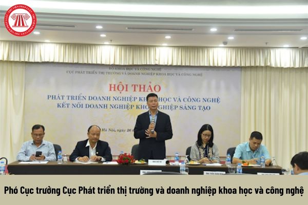 Phó Cục trưởng Cục Phát triển thị trường và doanh nghiệp khoa học và công nghệ được nhận mức phụ cấp chức vụ lãnh đạo là bao nhiêu?