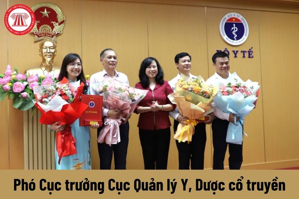 Phó Cục trưởng Cục Quản lý Y, Dược cổ truyền được nhận mức phụ cấp chức vụ lãnh đạo là bao nhiêu?