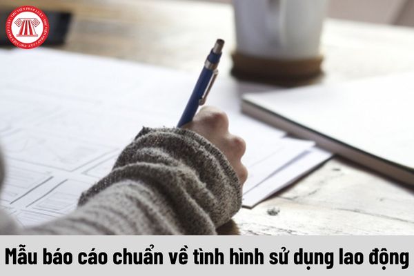 Mẫu báo cáo chuẩn về tình hình sử dụng lao động năm 2024 dành cho Sở Lào Cai tải tại đâu?