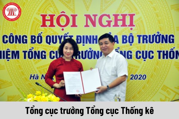 Mức phụ cấp chức vụ lãnh đạo của Tổng cục trưởng Tổng cục Thống kê được nhận là bao nhiêu?