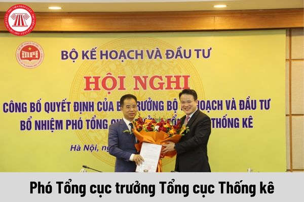 Phó Tổng cục trưởng Tổng cục Thống kê được nhận mức phụ cấp chức vụ lãnh đạo là bao nhiêu?