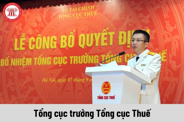 Tổng cục trưởng Tổng cục Thuế được nhận mức phụ cấp chức vụ lãnh đạo là bao nhiêu?