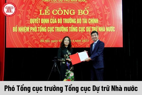 Mức phụ cấp chức vụ lãnh đạo của Phó Tổng cục trưởng Tổng cục Dự trữ Nhà nước được nhận là bao nhiêu?