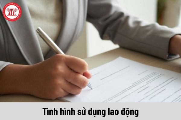 Những lưu ý khi điền mẫu báo cáo chuẩn về tình hình sử dụng lao động năm 2024 của Sở Hải Dương?