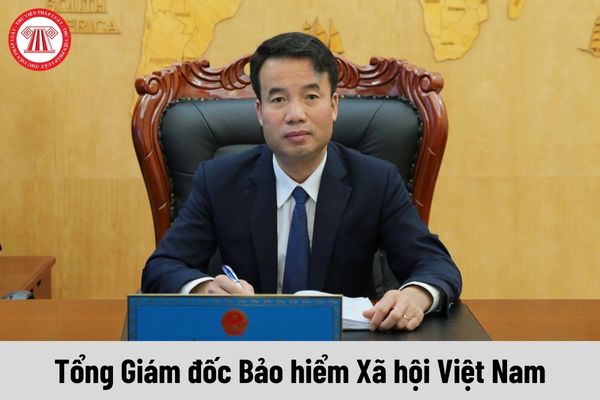 Tổng Giám đốc Bảo hiểm Xã hội Việt Nam được nhận mức phụ cấp chức vụ lãnh đạo là bao nhiêu?