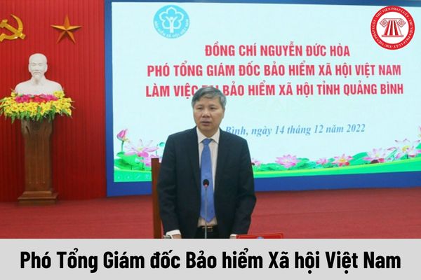 Mức phụ cấp chức vụ lãnh đạo của Phó Tổng Giám đốc Bảo hiểm Xã hội Việt Nam được nhận là bao nhiêu?