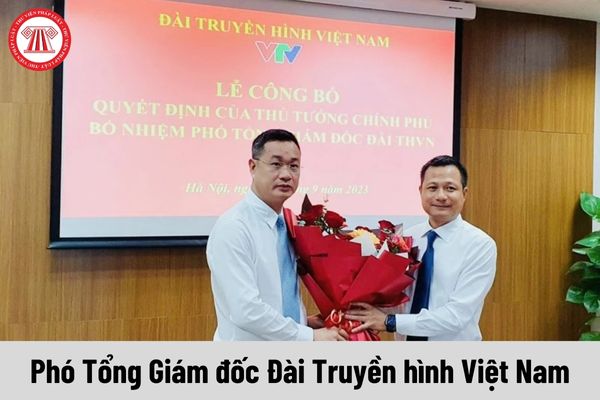 Mức phụ cấp chức vụ lãnh đạo của Phó Tổng Giám đốc Đài Truyền hình Việt Nam được nhận là bao nhiêu?