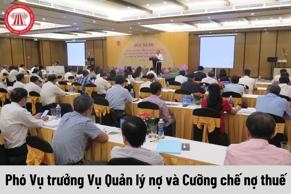 Phó Vụ trưởng Vụ Quản lý nợ và Cưỡng chế nợ thuế mức phụ cấp chức vụ lãnh đạo là bao nhiêu?