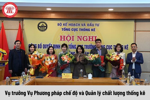 Vụ trưởng Vụ Phương pháp chế độ và Quản lý chất lượng thống kê được nhận mức phụ cấp chức vụ lãnh đạo là bao nhiêu?