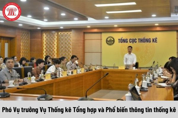 Phó Vụ trưởng Vụ Thống kê Tổng hợp và Phổ biến thông tin thống kê được nhận mức phụ cấp chức vụ lãnh đạo là bao nhiêu?