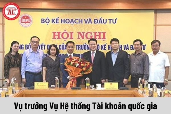 Vụ trưởng Vụ Hệ thống Tài khoản quốc gia được nhận mức phụ cấp chức vụ lãnh đạo là bao nhiêu?