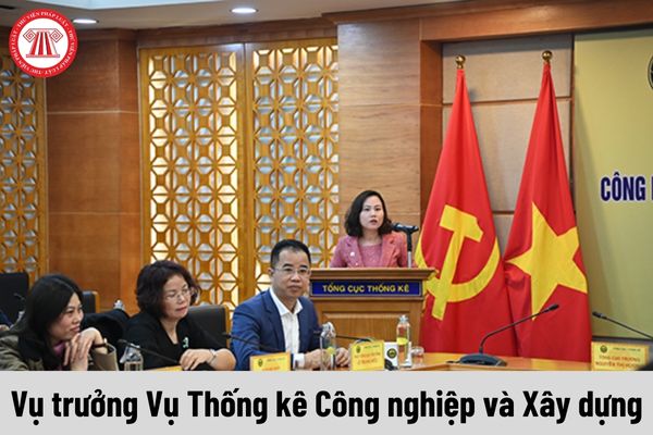 Vụ trưởng Vụ Thống kê Công nghiệp và Xây dựng được nhận mức phụ cấp chức vụ lãnh đạo là bao nhiêu?