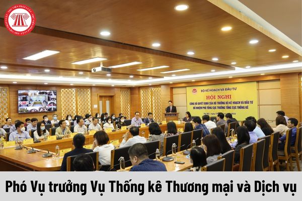 Phó Vụ trưởng Vụ Thống kê Thương mại và Dịch vụ được nhận mức phụ cấp chức vụ lãnh đạo là bao nhiêu?