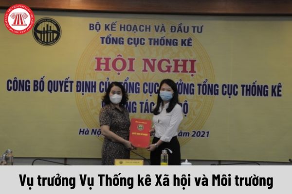 Vụ trưởng Vụ Thống kê Xã hội và Môi trường được nhận mức phụ cấp chức vụ lãnh đạo là bao nhiêu?