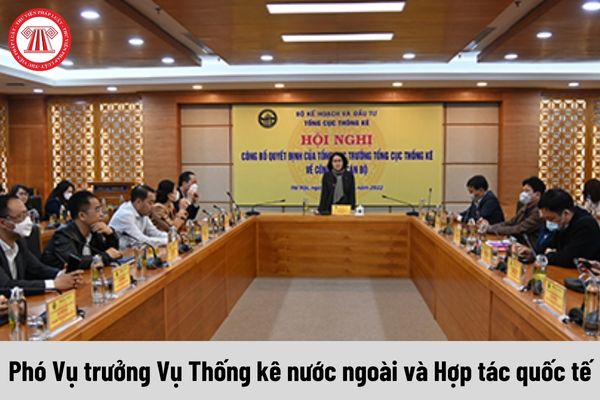 Phó Vụ trưởng Vụ Thống kê nước ngoài và Hợp tác quốc tế được nhận mức phụ cấp chức vụ lãnh đạo là bao nhiêu?