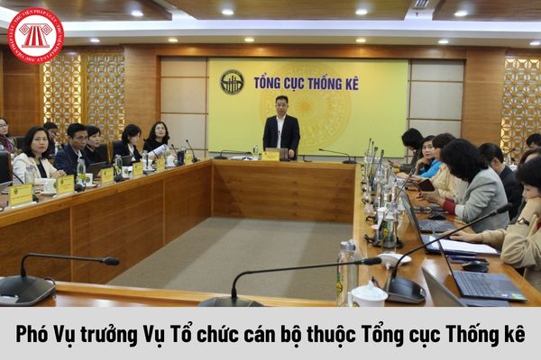 Mức phụ cấp chức vụ lãnh đạo của Phó Vụ trưởng Vụ Tổ chức cán bộ thuộc Tổng cục Thống kê được nhận là bao nhiêu?