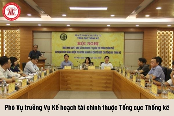 Phó Vụ trưởng Vụ Kế hoạch tài chính thuộc Tổng cục Thống kê được nhận mức phụ cấp chức vụ lãnh đạo là bao nhiêu?