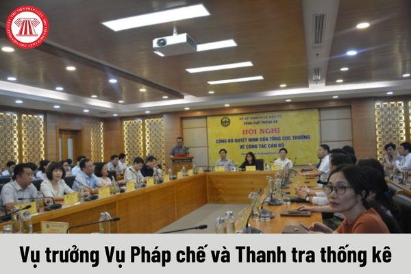 Vụ trưởng Vụ Pháp chế và Thanh tra thống kê được nhận mức phụ cấp chức vụ lãnh đạo là bao nhiêu?