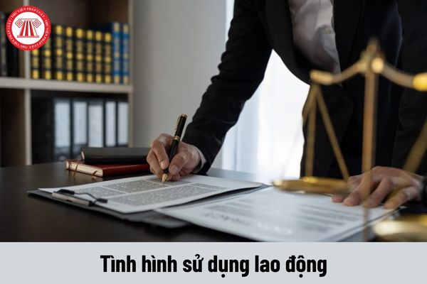 Cách điền mẫu báo cáo chuẩn về tình hình sử dụng lao động năm 2024 của Sở Lai Châu?