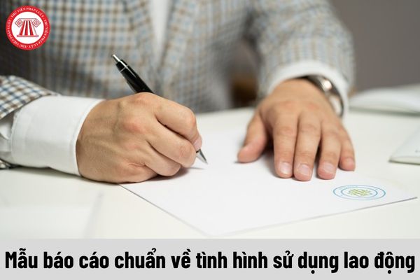 Mẫu và lưu ý khi điền mẫu báo cáo chuẩn về tình hình sử dụng lao động năm 2024 của Sở Phú Thọ?