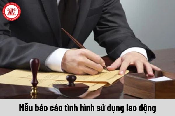 Cách điền mẫu báo cáo chuẩn về tình hình sử dụng lao động năm 2024 của Sở Phú Yên?