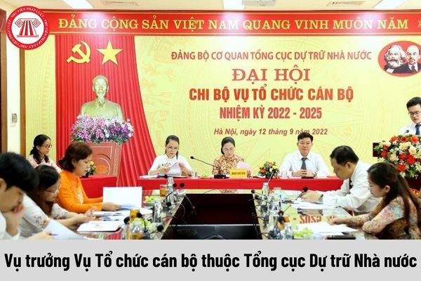 Vụ trưởng Vụ Tổ chức cán bộ thuộc Tổng cục Dự trữ Nhà nước được nhận mức phụ cấp chức vụ lãnh đạo là bao nhiêu?