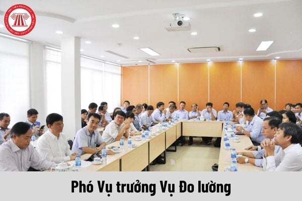 Phó Vụ trưởng Vụ Đo lường được nhận mức phụ cấp chức vụ lãnh đạo là bao nhiêu?