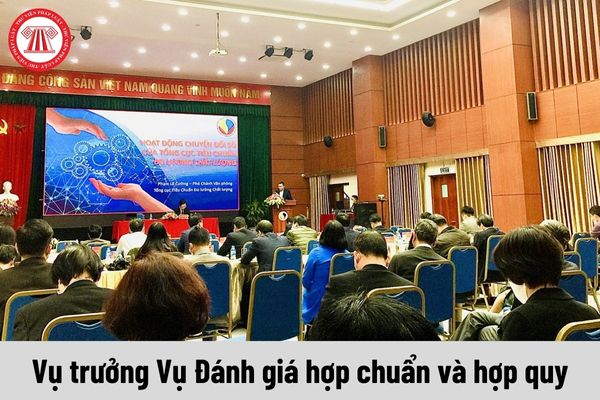 Vụ trưởng Vụ Đánh giá hợp chuẩn và hợp quy được nhận mức phụ cấp chức vụ lãnh đạo là bao nhiêu?