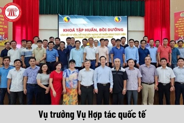 Vụ trưởng Vụ Hợp tác quốc tế thuộc Tổng cục Tiêu chuẩn Đo lường Chất lượng được nhận mức phụ cấp chức vụ lãnh đạo là bao nhiêu?