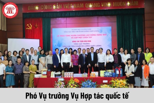 Mức phụ cấp chức vụ lãnh đạo của Phó Vụ trưởng Vụ Hợp tác quốc tế thuộc Tổng cục Tiêu chuẩn Đo lường Chất lượng được nhận là bao nhiêu?