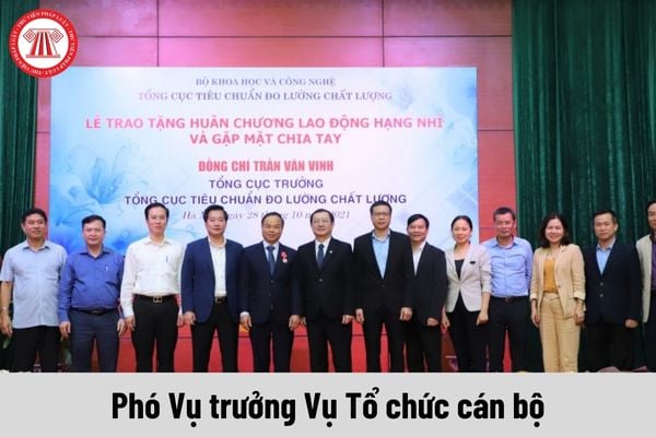 Phó Vụ trưởng Vụ Tổ chức cán bộ thuộc Tổng cục Tiêu chuẩn Đo lường Chất lượng được nhận mức phụ cấp chức vụ lãnh đạo là bao nhiêu?