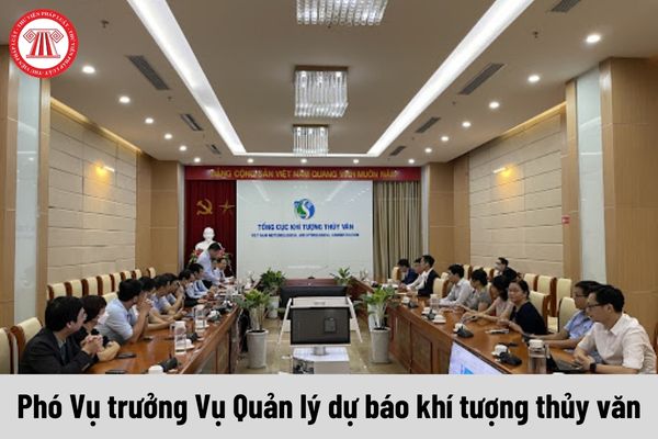 Phó Vụ trưởng Vụ Quản lý dự báo khí tượng thủy văn được nhận mức phụ cấp chức vụ lãnh đạo là bao nhiêu?