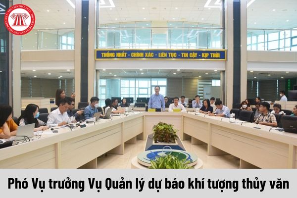 Mức phụ cấp chức vụ lãnh đạo của Phó Vụ trưởng Vụ Quản lý dự báo khí tượng thủy văn được nhận là bao nhiêu?