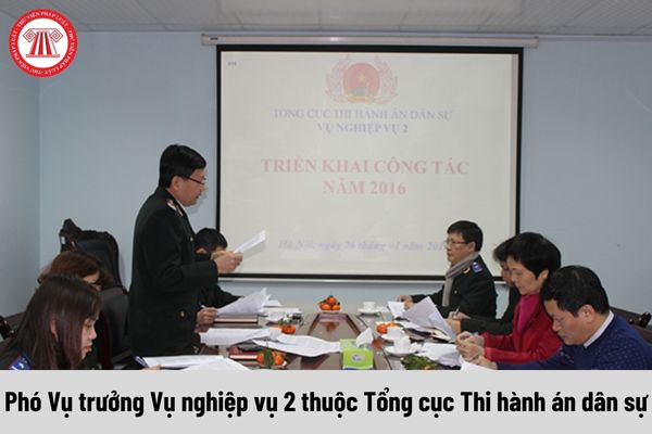 Phó Vụ trưởng Vụ nghiệp vụ 2 thuộc Tổng cục Thi hành án dân sự được nhận mức phụ cấp chức vụ lãnh đạo là bao nhiêu?