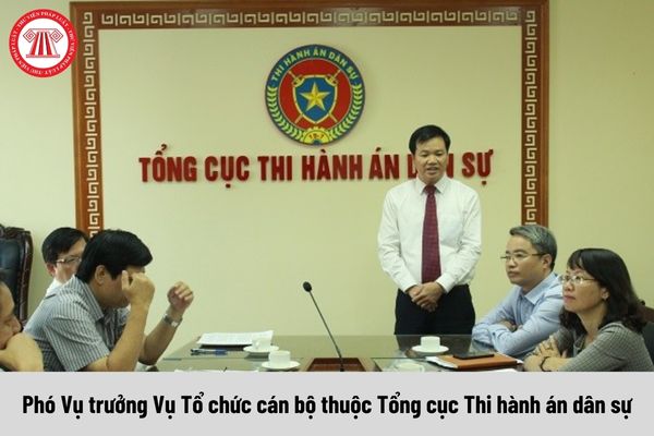 Mức phụ cấp chức vụ lãnh đạo của Phó Vụ trưởng Vụ Tổ chức cán bộ thuộc Tổng cục Thi hành án dân sự được nhận là bao nhiêu?