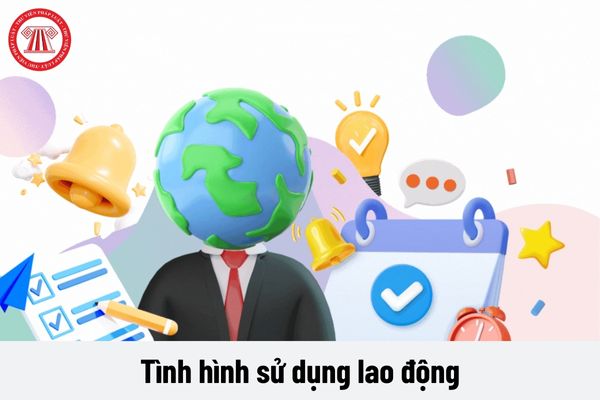 Mẫu và lưu ý khi điền mẫu báo cáo chuẩn về tình hình sử dụng lao động năm 2024 của Sở Ninh Thuận?