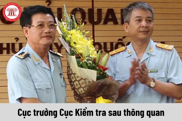 Cục trưởng Cục Kiểm tra sau thông quan được nhận mức phụ cấp chức vụ lãnh đạo là bao nhiêu?